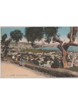 CARTOLINA ALGERI ALGERIA...