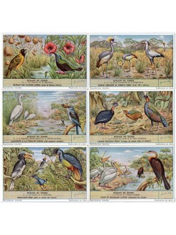 S 1632 / LIEBIG / UCCELLI...