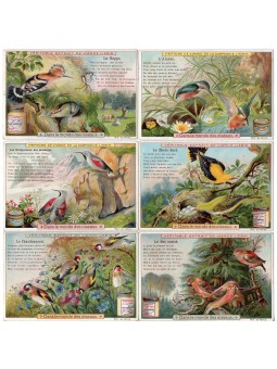 S 0651/ LIEBIG / NEL MONDO...