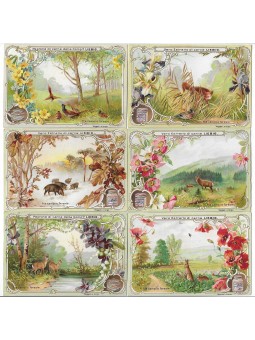 S 0627 / LIEBIG / FRA CAMPI...