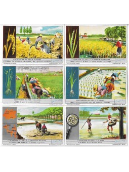 S 1615 / LIEBIG /...