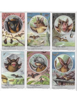 S 1616 / LIEBIG / I...