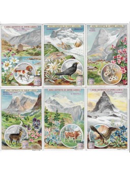 S 0740 / LIEBIG / MONTAGNE...