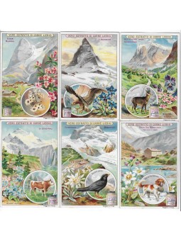 S 0740 / LIEBIG / MONTAGNE...