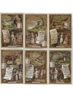 S 0193 / LIEBIG / CUOCHI E...