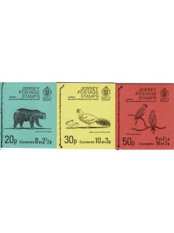 1974 JERSEY SALVAGUARDIA...