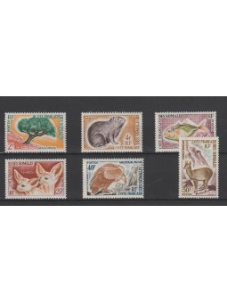 COTE DES SOMALIS COSTA DEI...