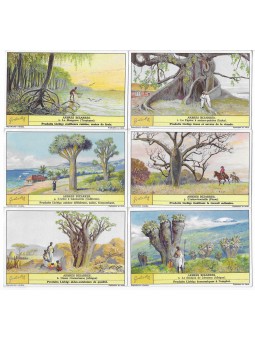 S 1306 / LIEBIG / ALBERI...