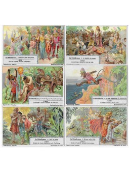 S 1252 / LIEBIG / IL...