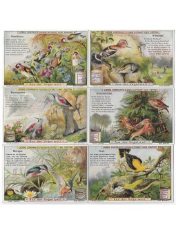 S 0651 / LIEBIG / NEL MONDO...