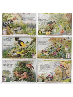 S 0651/ LIEBIG / NEL MONDO...