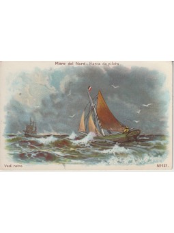 VERO FRANCK FIGURINA...