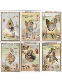 S 0508 / LIEBIG /...