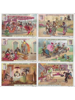 S 1006 / LIEBIG / SCIMMIE...