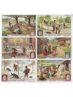 S 1031 / LIEBIG / I TARTUFI...