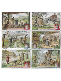 S 1135 / LIEBIG / LE API E...