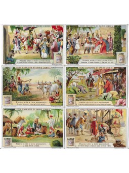 S 1100 / LIEBIG / PIANTE...