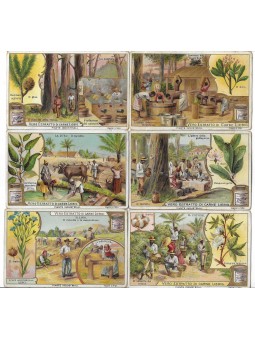 S 0707 / LIEBIG / PIANTE...