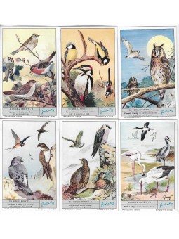 S 1804 / LIEBIG / GLI...