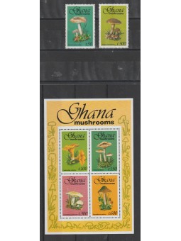 GHANA 1993 FLORA FUNGHI 2...