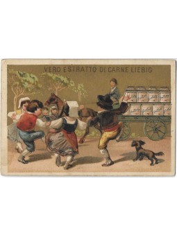 S 0076 / LIEBIG / FIGURE DI...