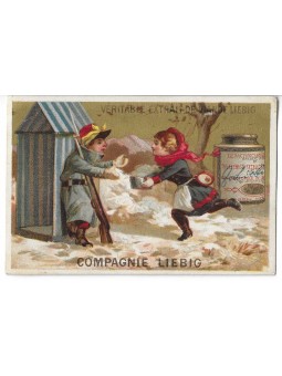 S 0082 / LIEBIG / FIGURE DI...