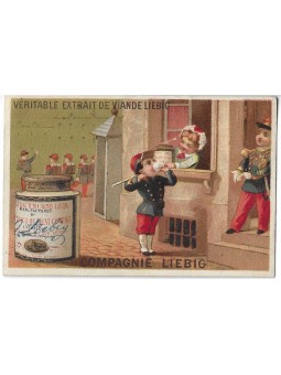 S 0082 / LIEBIG / FIGURE DI...