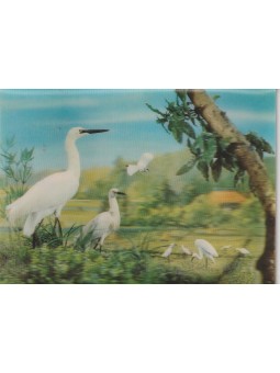 CARTOLINA 3D TEMA FAUNA...