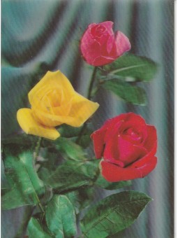 CARTOLINA 3D TEMA FLORA...