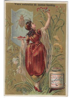 S 0118 / LIEBIG /...