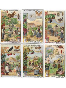 S 0931/ LIEBIG / FRUTTI E...