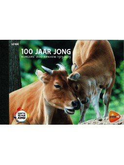 2013 OLANDA LIBRETTO...