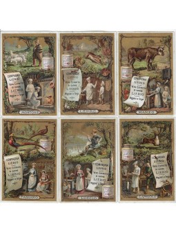 S 0193 / LIEBIG / CUOCHI E...