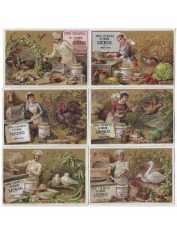 S 0171/ LIEBIG / CUOCHI E...