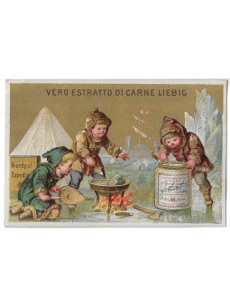 S 0081 / LIEBIG / FIGURE DI...