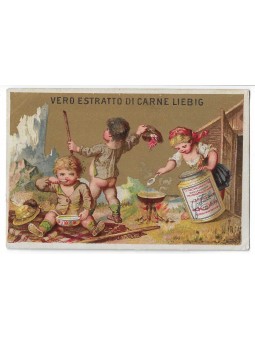 S 0081 / LIEBIG / FIGURE DI...