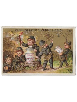 S 0081 / LIEBIG / FIGURE DI...