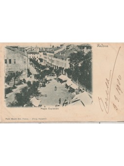 CARTOLINA VENETO PADOVA...