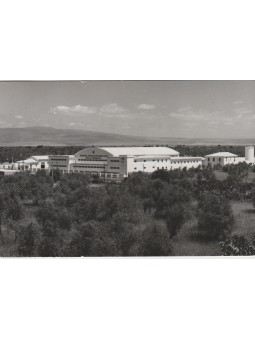 CARTOLINA SARDEGNA ORISTANO...