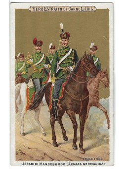 S 0125 / LIEBIG / ESERCITO...