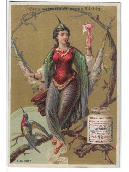 S 0165 / LIEBIG / UCCELLI...