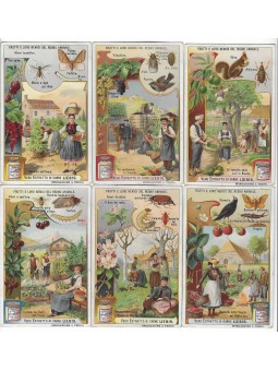 S 0931/ LIEBIG / FRUTTI E...