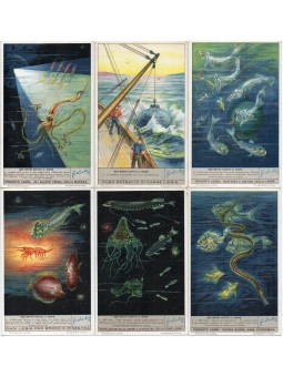 S 1360 / LIEBIG / 900 METRI...