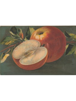 CARTOLINA ARTISTICA...