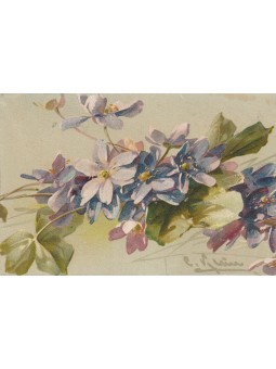 ILLUSTRATORE - FIORI - COME...