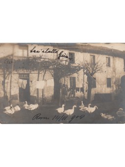 FOTOCARTOLINA CAMPESTRE...