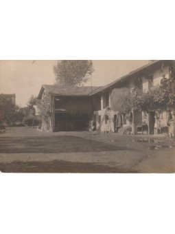 FOTOCARTOLINA CAMPESTRE...