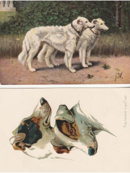 DUE CARTOLINE RAFFIGURANTI...