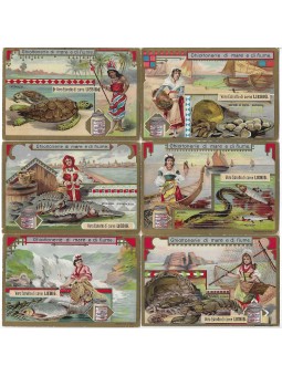 S 0779 / LIEBIG /...