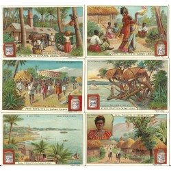 S 0704 LIEBIG ALLE ISOLE SAMOA AUX ILES SAMOA (ITA) 704 MF24123